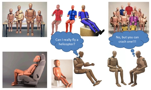 Anthropomorphic Test Device Modelling