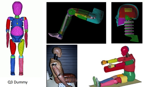 Anthropomorphic Test Device Modelling