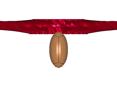 Modeling Bird Strike