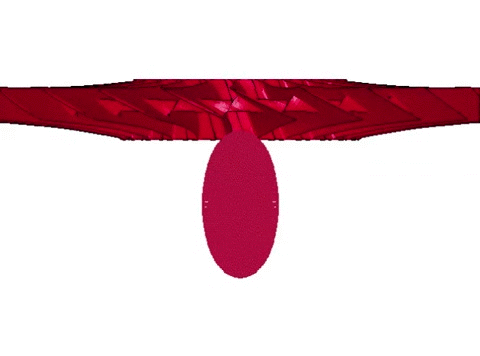 Modeling Bird Strike